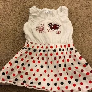 South Carolina Gamecocks